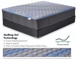 Smart Value Chandler Springs Firm Queen Mattress (image for) Smart Value Chandler Springs Firm Queen Mattress