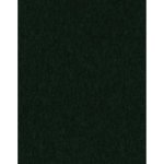 (image for) Bottle Green Pool Table Felt Invitational