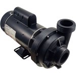 (image for) Jacuzzi J-210 Pump 2005 - 2006 Model Years